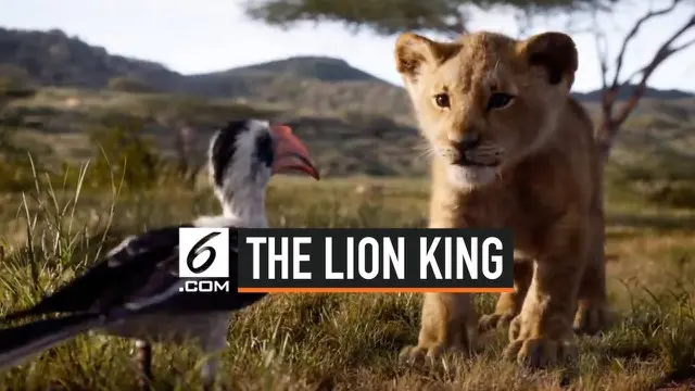 Film live action The Lion King mengawali penayangannya di China pada Jumat, 12 Juli 2019. Film ini meraup keuntungan sekitar USD 14,5 juta atau sekitar Rp 203 miliar.