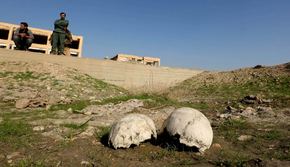 Tampak tengkorak di sebuah kuburan massal yang diduga lokasi makam anggota Yazidi Irak di pinggiran kota Sinjar, 30 November 2015. Pasukan Kurdi menemukan kuburan ini usai berhasil merebut kembali kota Irak dari militan ISIS. (Reuters/Ari Jalal)