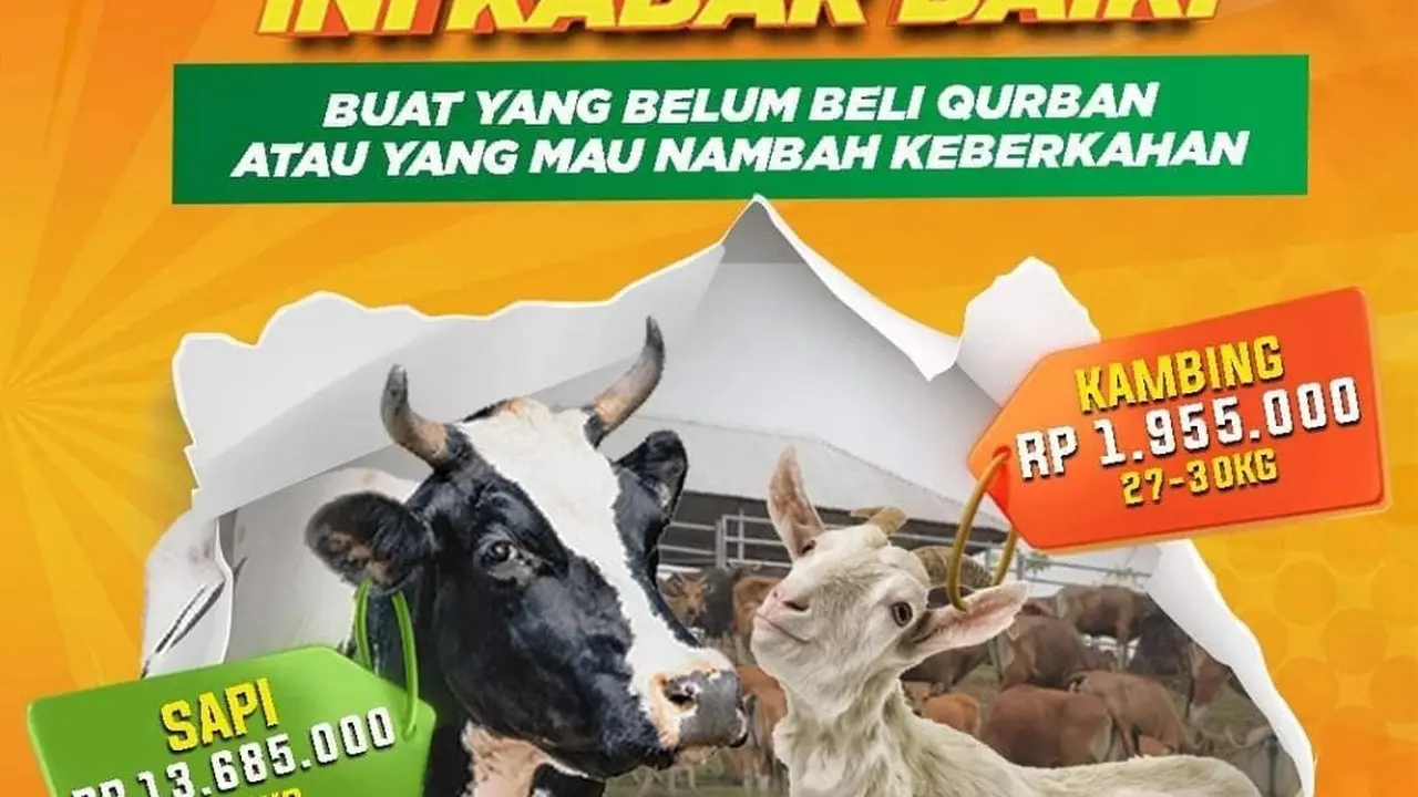 Promo Flash Sale Tinggal Dua Hari! Kurban di Global Qurban Semakin Terjangkau
