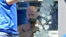 Atlet Austria, Josef Koeberl berupaya memecahkan rekor dengan berendam dalam kotak yang diisi tumpukan es batu di Wina, Sabtu (10/8/2019). Josef Koeberl berhasil memecahkan rekor dunia sebagai pria terlama yang mampu bertahan di dalam es selama 2 jam 8 menit 47 detik. (HERBERT NEUBAUER/APA/AFP)