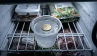 Trik Taruh Koin di Freezer untuk Membantu Mengecek Kondisi Kulkas, Sederhana tapi Berguna
