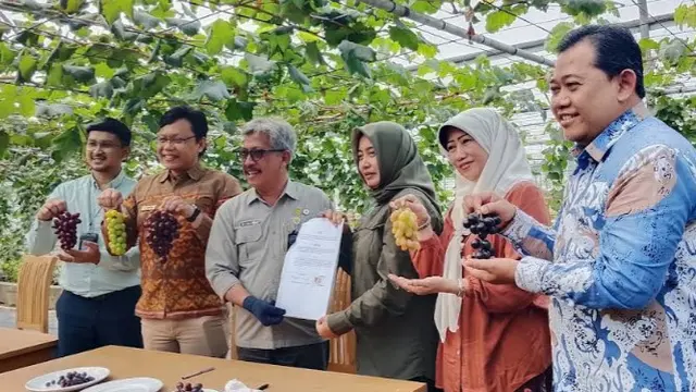 Kebun Edukasi Anggur Duta PengAngguran