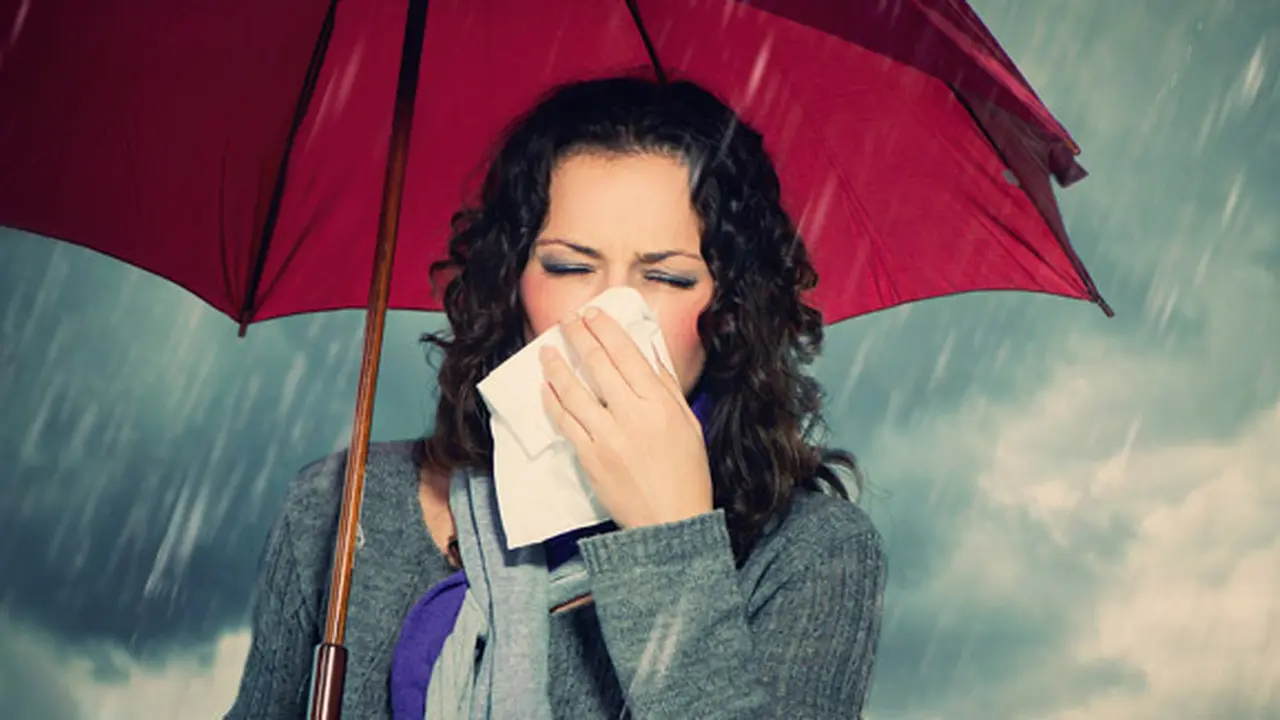 Foto: Shutterstock