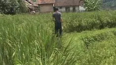 liputan6
