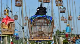 Burung-burung berada di dalam sangkar selama kompetisi kicau burung di provinsi Narathiwat, Thailand, pada tanggal 18 September 2023. (Madaree TOHLALA/AFP)