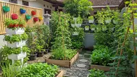 9 Cara Merawat Tanaman Sayur di Musim Hujan, Panen Tetap Optimal