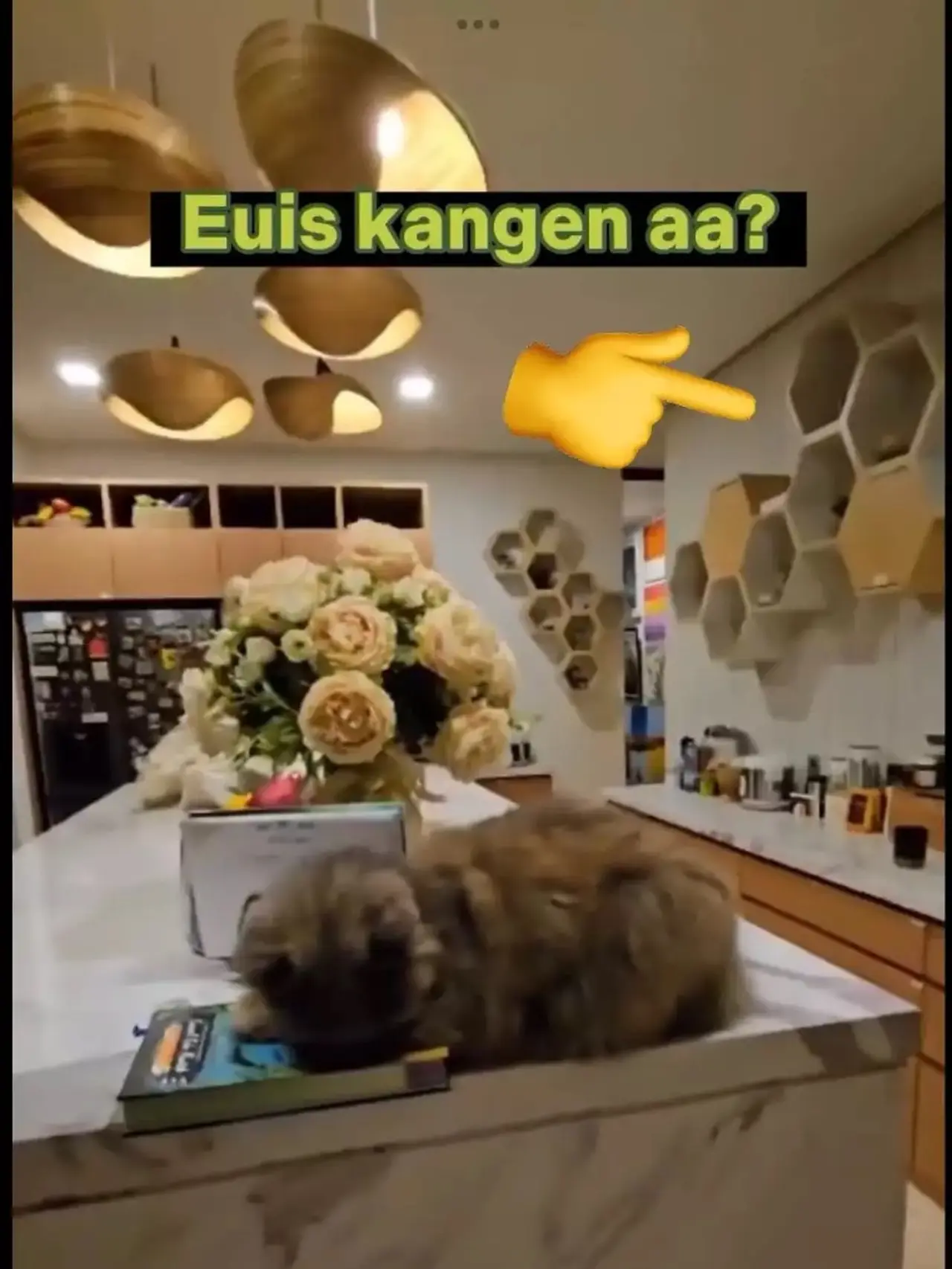 Kesaksian Tetangga Soal Rumah Kosong Atalia Praratya 6 Bulan Lalu