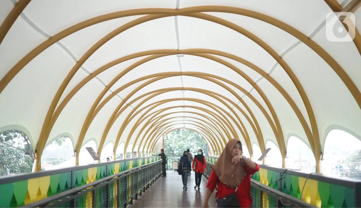 Warga melitasi Jembatan Penyeberangan Orang (JPO) di depan Stasiun Pasar Minggu, Jakarta, Kamis (9/1/2020). JPO yang juga dilengkapi dengan penutup dan lampu warna-warni tersebut menghubungkan Stasiun Pasar Minggu dengan pasar tradisional Pasar Minggu. (Liputan6.com/Immanuel Antonius)