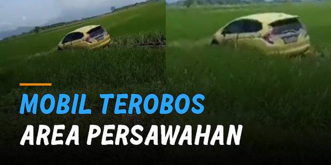 VIDEO: Kurang Konsentrasi, Mobil Terobos Area Persawahan