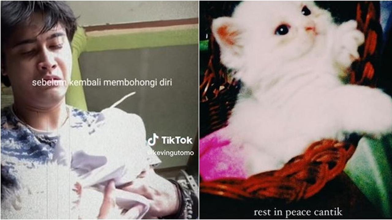 Momen Kevin Gutomo Kehilangan Kucing yang Menemaninya Sejak SMK, Bikin Nyesek