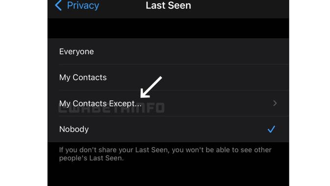 WhatsApp tengah mengembangkan tool yang memungkinkan pengguna menyembunyikan last seen dari orang tertentu. (Foto WABetaInfo).