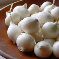 Jangan dulu membenci bawang putih karena baunya yang tidak enak, cobalah tengok berbagai manfaatnya untuk kecantikan kamu ini. (Foto: dvo.com)