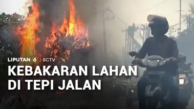 Api membakar lahan di tepi jalan raya hingga membuat pengendara panik.