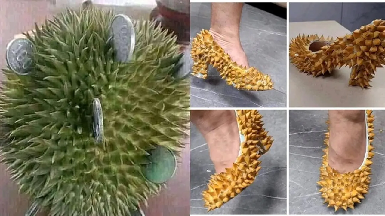 6 Lifehack Lucu Manfaatkan Kulit Durian Ini Bikin Tepuk Jidat