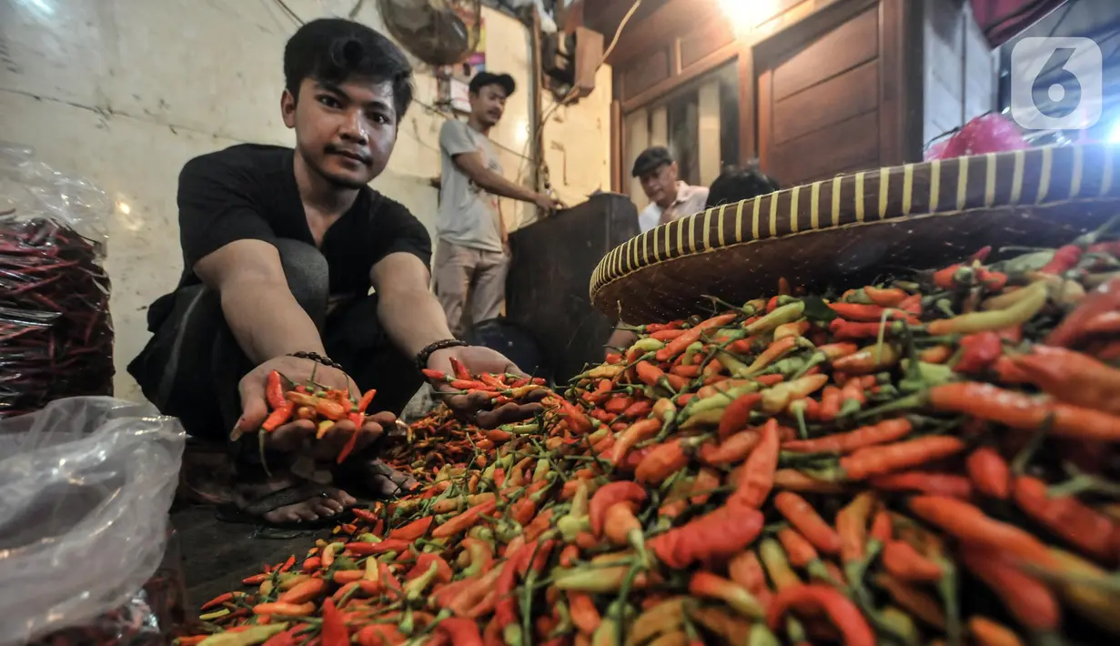 Pedagang menunjukkan cabai rawit yang dijual di Pasar Induk Kramat Jati, Jakarta Timur, Kamis (2/6/2022). Dalam tiga hari terakhir, pedagang di Pasar Induk Kramat Jati mengungkapkan harga cabai mengalami kenaikan dengan selisih Rp 5.000 - Rp 10.000 per kilogram. (merdeka.com/Iqbal S Nugroho)