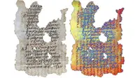 Fragmen selembar palimpsest, yaitu perkamen yang dipakai ulang, menampakan tulisan Yunani (kiri) dengan bekas tulisan lain di bawahnya. Teknologi pencitraan baru mengungkap tulisan yang terhapus (kanan) dari Abad ke-5. (Sumber Greek World Media)