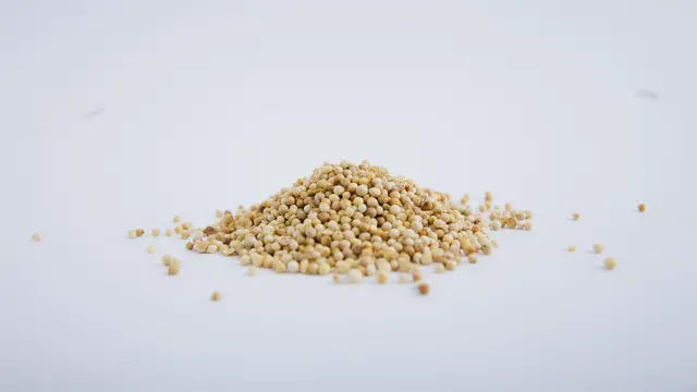 Fimela - Food Ketumbar