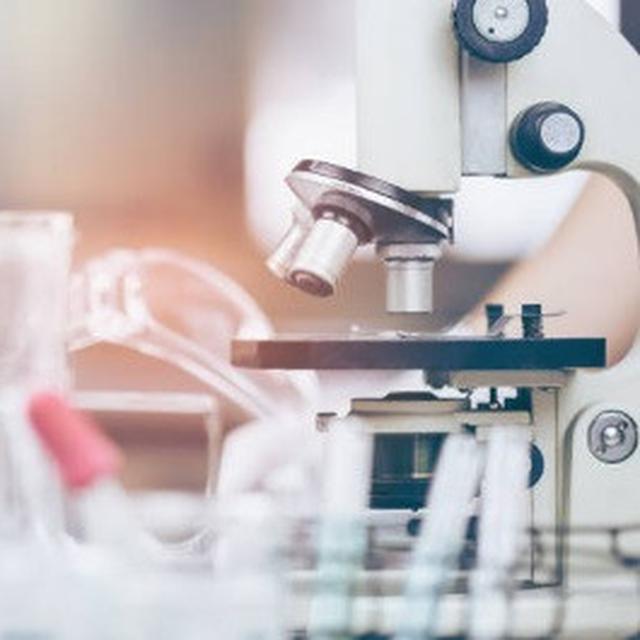 Peneliti Ivermectin Obat Cacing Yang Bisa Bunuh Virus Corona