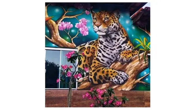 Seniman Ini Gabungkan Tanaman dengan Grafiti 6 Hasilnya Mengagumkan