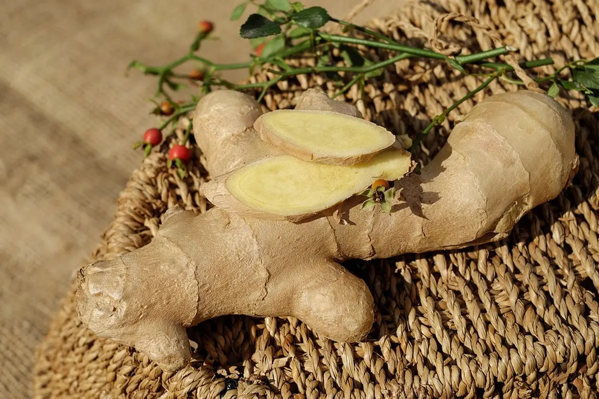 Selain menjadi bumbu dapur, jahe pun punya khasiat lain untuk kecantikan