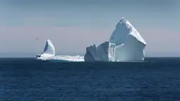 Sebuah bongkahan es raksasa melewati perairan Ferryland Newfoundland, Kanada, (10/4). Perairan yang disebut Iceberg Alley ini menjadi tempat perlintasan pecahan gletser di Greenland pada setiap awal musim panas. (Paul Daly/The Canadian Press via AP)