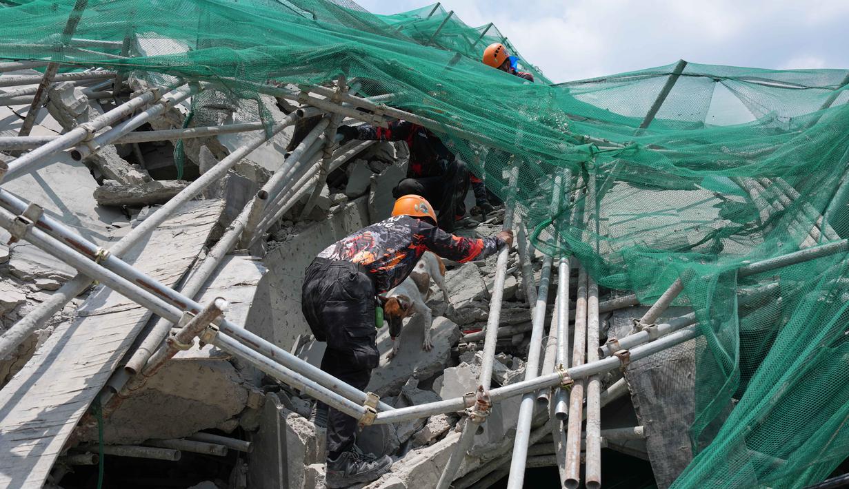 Seekor anjing pelacak dan para penyelamat menuruni reruntuhan selama operasi pencarian di sebuah bangunan yang runtuh di kota Angeles, provinsi Pampanga, utara Manila, Filipina, Senin 25 Mei 2026. (AP Photo/Aaron Favila)