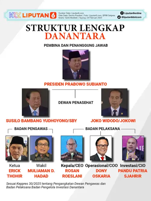 Pembentukan Holding Operasional Danantara dan Rencana Joint Fund