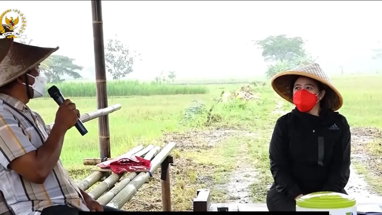 Puan Maharani bersama petani DI Yogyakarta