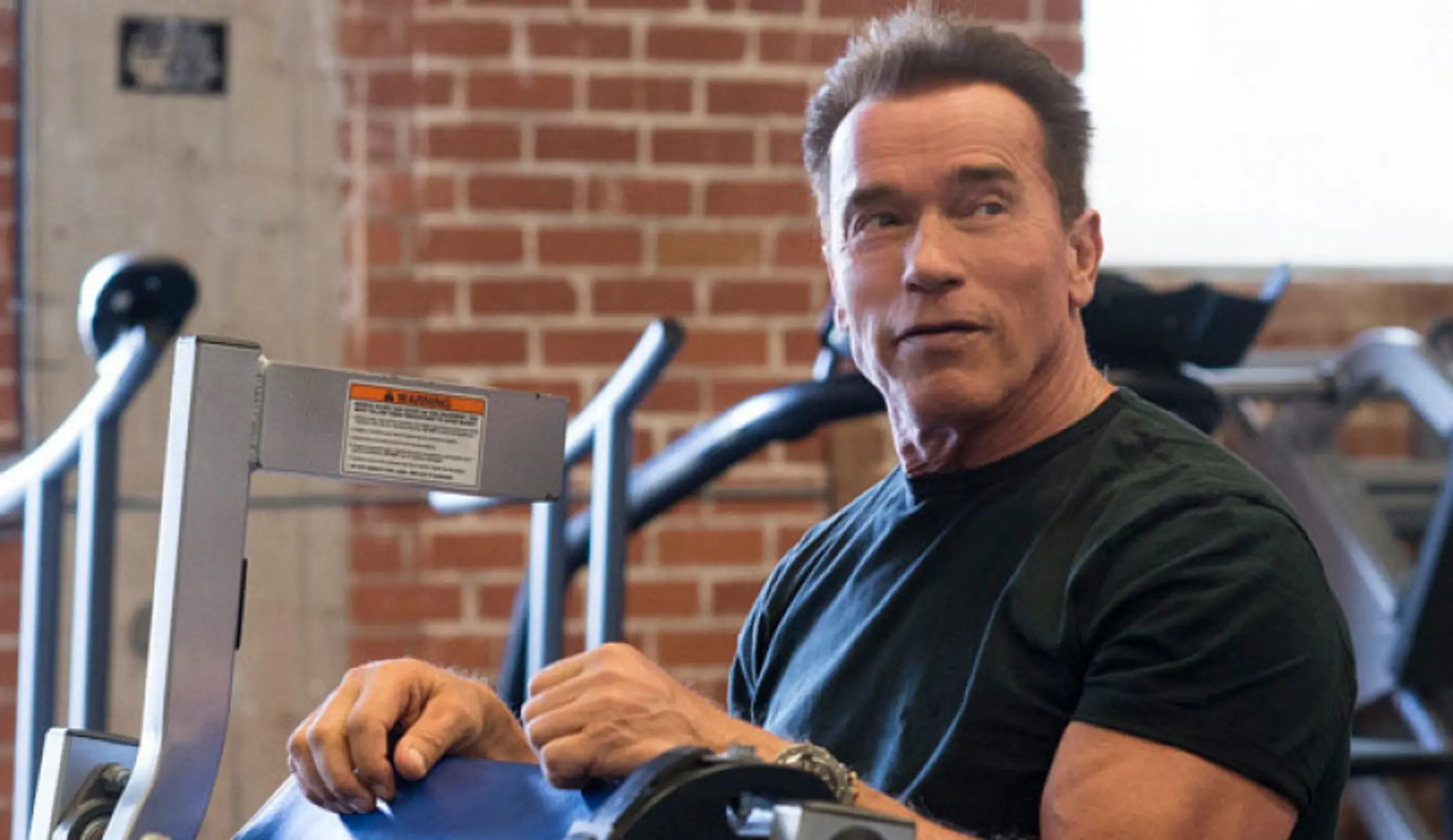 Arnold Schwarzenegger (Pinterest)