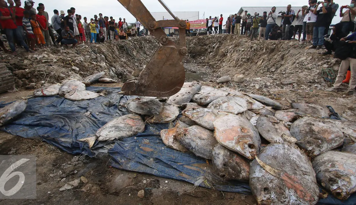 Dinas Kelautan Pertanian dan Ketahanan Pangan (KPKP) DKI Jakarta bersama Polres Pelabuhan Tanjung Priok memusnahkan 5 ton ikan laut yang mengandung formalin, Muara Angke, Jakarta, Jumat (17/6). (Liputan6.com/Immanuel Antonius)