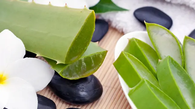 Photo: Copyright Thinkstockphotos.com