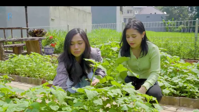 Potret Kebun Organik Milik Prilly Latuconsina, Ada Sayur Hingga Buah-buahan. (Sumber: YouTube/Prilly Latuconsina)