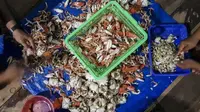 Para pelaku usaha pengolahan daging kepiting di pesisir pantai utara Cilamaya, Karawang, menjerit gara-gara pandemi virus corona (Covid-19). (Liputan6.com/ Abramena)
