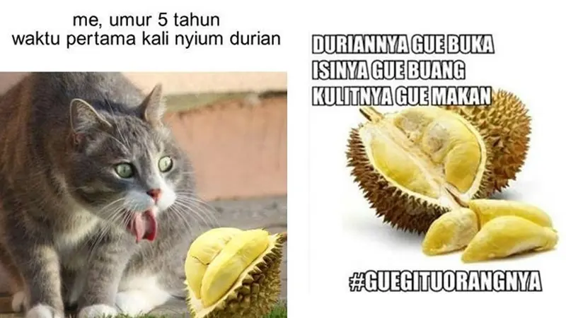 6 Meme Tentang Durian Ini Nyeleneh Pol, Bikin Geleng Kepala