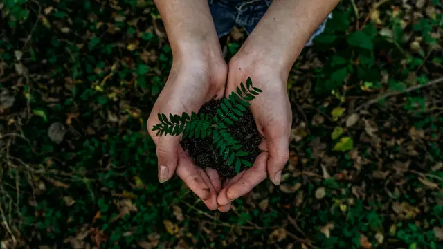 Ilustrasi pertanian. Credit: Noah Buscher/Unsplash