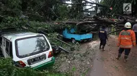 Sejumlah mobil tertimpa pohon akibat Hujan dan Angin di wiliyah Serua, Ciputat, Rabu (12/12). Hujan beserta angin yang mengguyur sejumlah wilayah kota Tangerang Selatan membuat pohon besar tumbang menimpa mobil. (merdeka.com/ arie basuki)