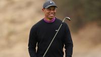 Tiger Woods Charged with DUI: Complete Chronology and Impact on Golf Career