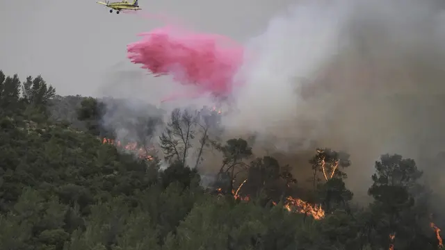 Pesawat memadamkan kebakaran hutan dekat Yerussalem Rabu (30/4/2025). (AP/Mahmoud Illean)