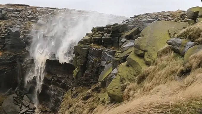 Photo copyright My Modern Met