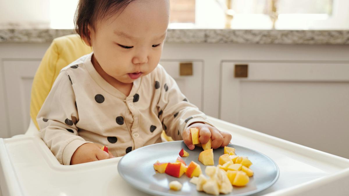 Panduan Awal Memulai Baby Led Weaning untuk Pemula