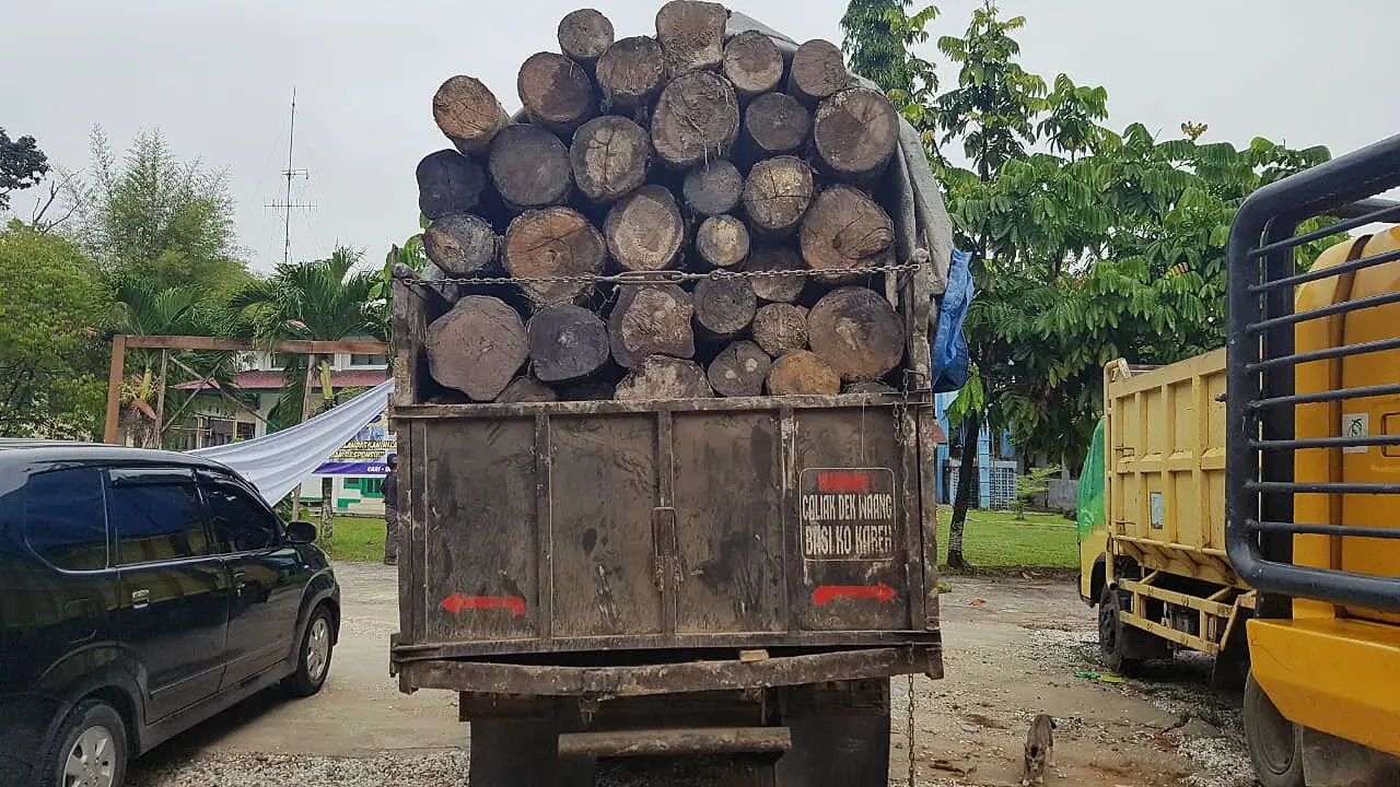 Pembalakan Liar