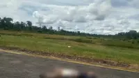 Detik-Detik Pilot dan Co-Pilot Smart Air Tewas Ditembak di Boven Digoel Papua: Ditangkap saat Sembunyi di Hutan