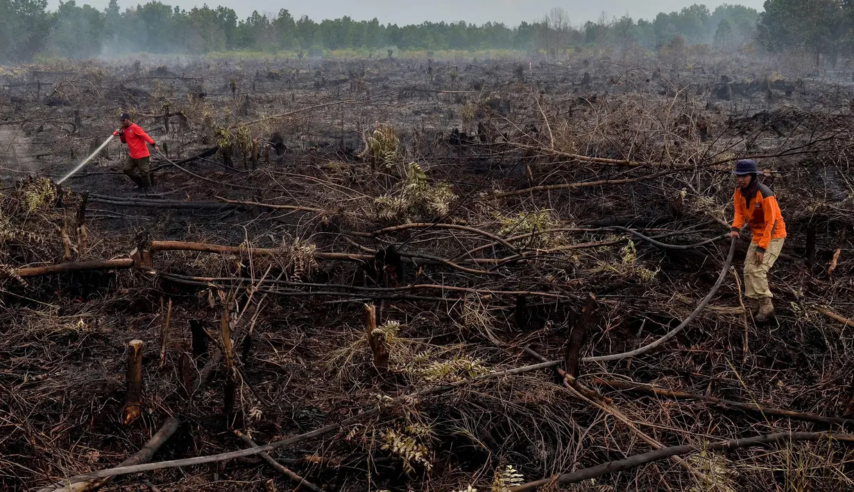 Pemadam kebakaran memadamkan api yang melalap lahan gambut di Pekanbaru, Provinsi Riau, (1/2). Lokasi ini merupakan salah satu dari 73 titik api yang terdeteksi menyebabkan kabut asap di pulau Sumatera. (AFP Photo/Wahyudi)