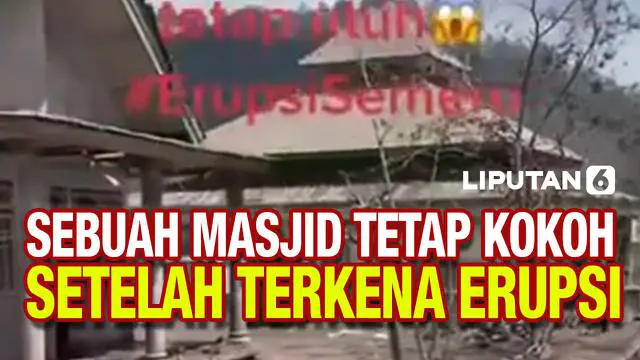 Sebuah video yang memperlihatkan kondisi desa usai terkena erupsi Gunung Semeru tengah viral di media sosial. Bagaimana tidak, dalam video tersebut terlihat jelas terdapat sebuah masjid yang masih berdiri kokoh di saat bangunan-bangunan lain di sekit...