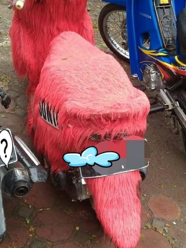 6 Potret Motor Berbulu Ini Jadi Pusat Perhatian di Jalan Raya, Nyentrik