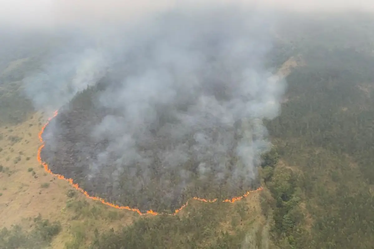 Kebakaran hutan di kawasan Gunung Arjuno. (Dian Kurniawan/Liputan6.com)