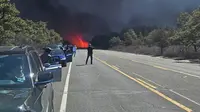 Empat kebakaran hutan terjadi di Long Island, New York, AS. (Lisa Marie/Facebook)