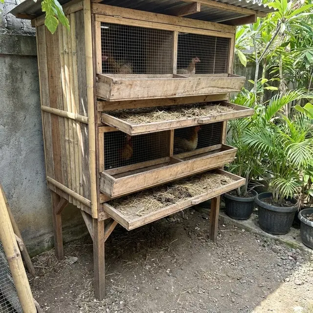 Kandang Ayam Panggung Tahan Banjir untuk Halaman Sempit