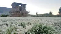 Foto embun es menyelimuti kawasan Candi Arjuna Dieng, Jawa Tengah. ( Foto: Liputan6.com/Pokdarwis Pandawa/Muhamad Ridlo).