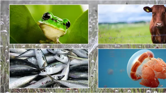Courtesy ShutterStock.com